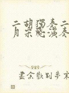 二胡独奏二泉映月宋飞演奏