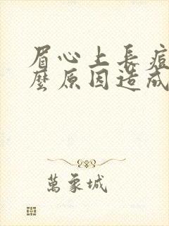 眉心上长痘痘什么原因造成的