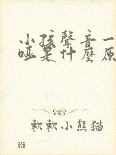 小孩声音一直嘶哑是什么原因造成的