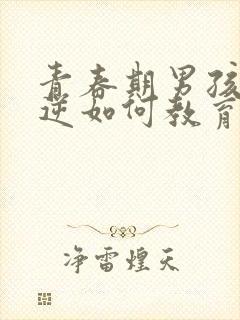 青春期男孩子叛逆如何教育