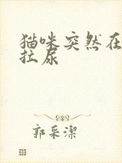 猫咪突然在床上拉尿