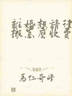 离婚想请律师大概怎么收费啊律师费封面