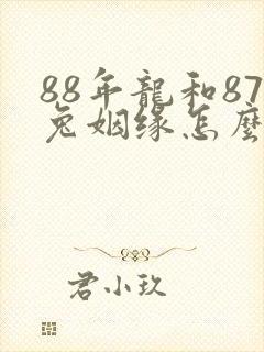 88年龙和87兔姻缘怎么样