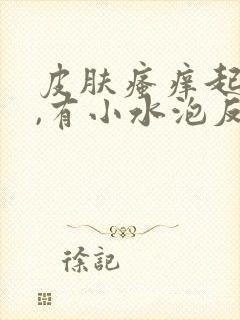 皮肤瘙痒起疙瘩,有小水泡反反复复