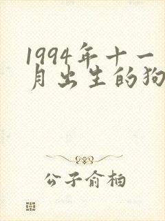 1994年十一月出生的狗命运如何封面