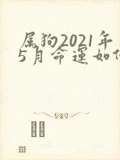 属狗2021年5月命运如何