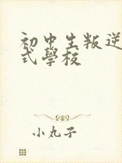 初中生叛逆封闭式学校