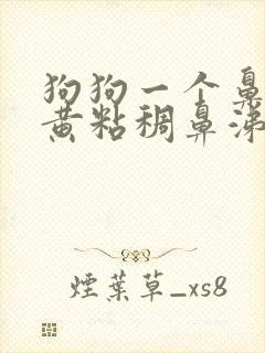 狗狗一个鼻孔流黄粘稠鼻涕怎么办