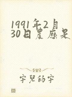 1991年2月30日农历是什么命