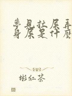 梦见拉屎弄了一身屎是什么预兆