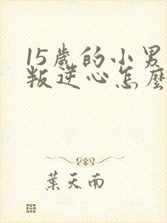 15岁的小男孩叛逆心怎么办封面