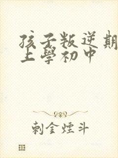 孩子叛逆期不想上学初中