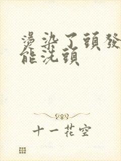 烫染了头发几天能洗头封面