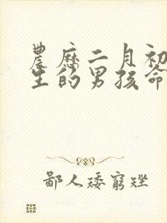 农历二月初九出生的男孩命运