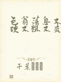 色翁荡息又大又硬又粗又爽电影