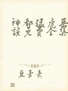 神都猛虎岳风小说免费全集