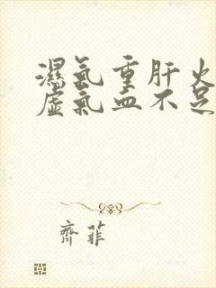 湿气重肝火旺脾虚气血不足封面