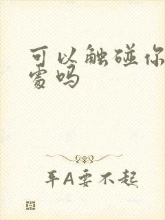 可以触碰你的深处吗封面