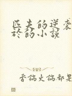 匹夫的逆袭类似于的小说