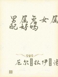 男属兔女属蛇婚配好吗封面
