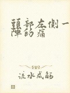 头部左侧一阵一阵的痛