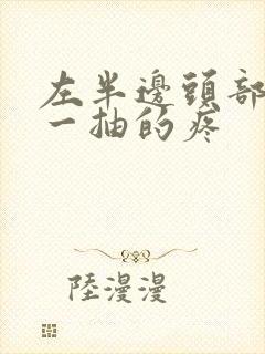 左半边头部一抽一抽的疼封面