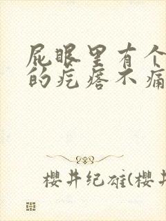 屁眼里有个硬硬的疙瘩不痛不痒