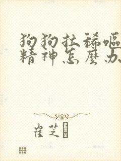 狗狗拉稀呕吐没精神怎么办