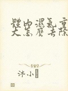 体内湿气重火气大怎么去除封面