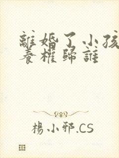 离婚了小孩的抚养权归谁