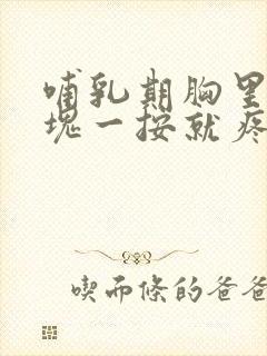 哺乳期胸里有硬块一按就疼