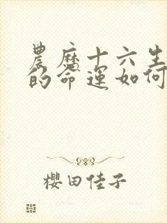 农历十六生日人的命运如何封面