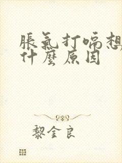 胀气打嗝想吐是什么原因封面