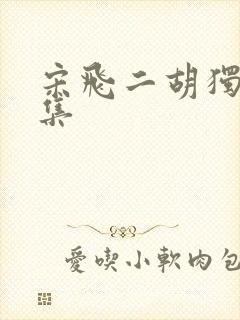 宋飞二胡独奏赶集