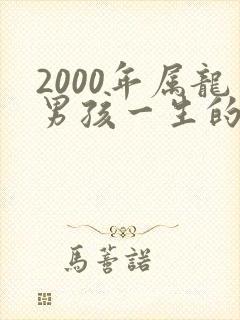 2000年属龙男孩一生的命运