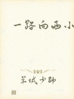 一路向西小说