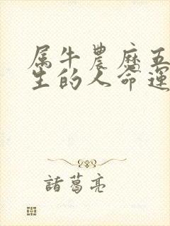 属牛农历五月出生的人命运如何