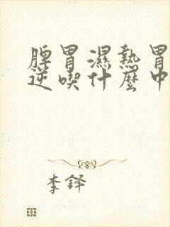 脾胃湿热胃气上逆吃什么中成药