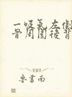 一吸气左侧肩胛骨周围后背里面疼