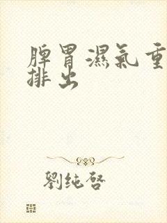 脾胃湿气重怎样排出