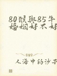 80猴与85牛婚姻好不好
