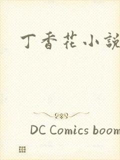 丁香花小说
