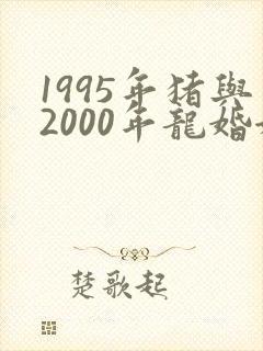 1995年猪与2000年龙婚姻相配吗