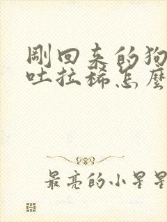 刚回来的狗狗呕吐拉稀怎么办?