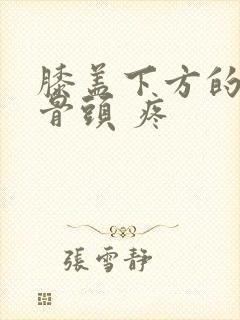 膝盖下方的凸起骨头 疼