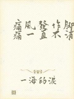 痛风发作脚踝肿痛一直不消肿