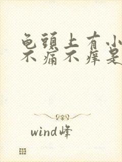 龟头上有小疙瘩不痛不痒是怎么回事