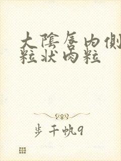 大阴唇内侧有颗粒状肉粒