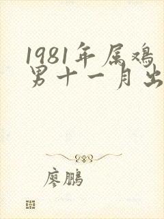 1981年属鸡男十一月出生的命运封面