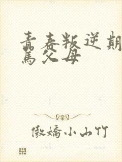 青春叛逆期孩子骂父母